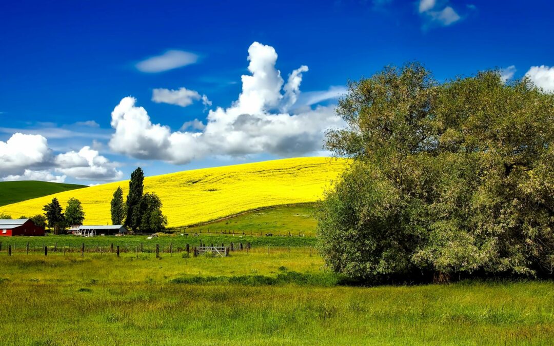 Umwelt-Omnibus: Vorschlag der Kommission nicht weitreichend genug