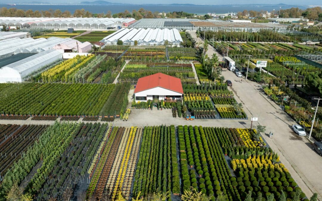 Die neue Bioökonomiestrategie hat das Potenzial diesen Wirtschaftszweig zum Zukunftsmotor der EU zu machen. Jetzt muss die EU-Kommission liefern, denn Land- und Forstwirte brauchen ernsthafte Perspektiven!