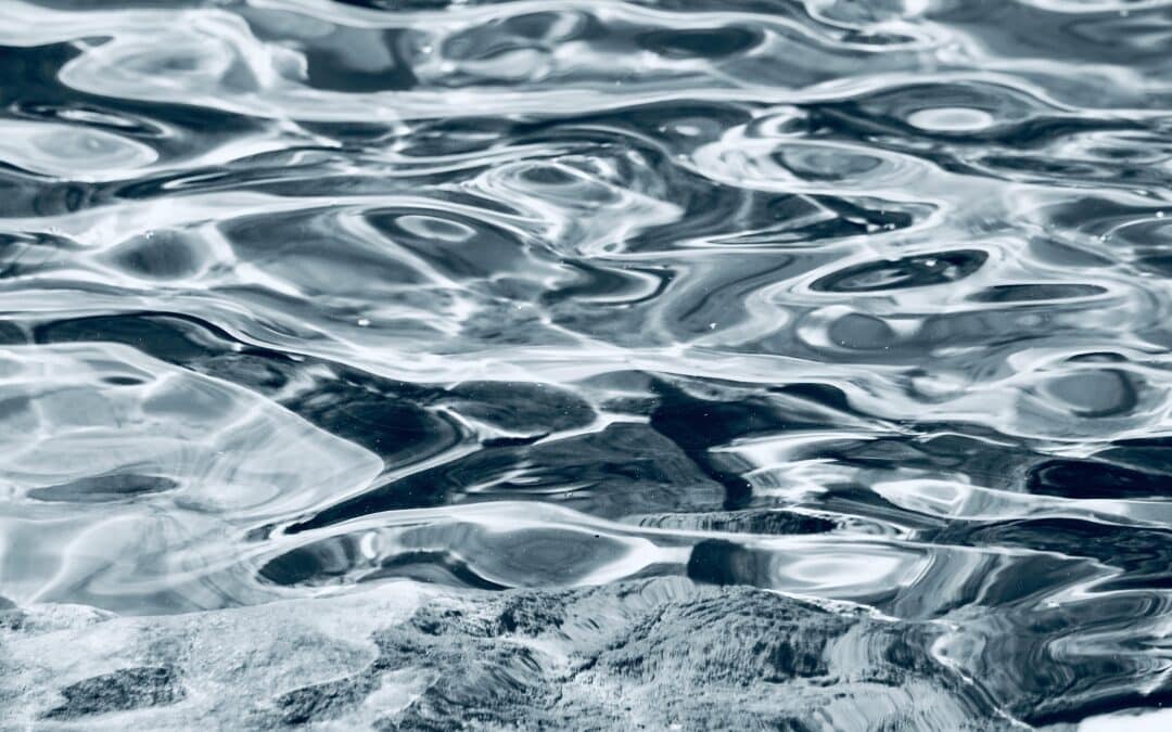 Eure Meinung ist gefragt: Laufendes Konsultationsverfahren zur Wasserrahmenrichtlinie