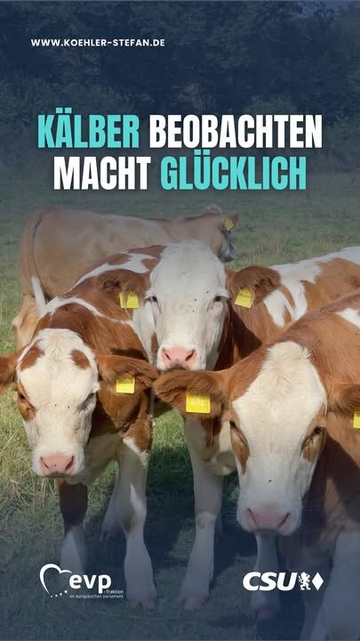 Kälber sorgen offenbar nicht nur auf meinem Hof für gute Laune 🐄😊

Eine aktuelle Studie deutet darauf hin, dass der Kontakt mit Kälbern die Stimmung verbessern und entspannende Gehirnaktivität fördern kann. Vielleicht also künftig: Kälber statt Yoga? 😉