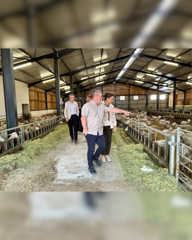 Zum Abschluss unserer Delegationsreise des Agrarausschusses ging es um die Zukunft der Tierhaltung 🐄🌾

Bei einem Betriebsbesuch in Saint Jean Lherm haben wir mit Landwirten über die wirtschaftlichen Rahmenbedingungen der Tierhaltung gesprochen. Im Mittelpunkt standen unter anderem Produktionskosten, Arbeitskräfte, Marktpreise, Klimafolgen, Regulierung und Investitionsmöglichkeiten.

Ein Schwerpunkt war die neue EU-Nutztierstrategie. Sie soll die Wettbewerbsfähigkeit und Widerstandsfähigkeit des Sektors stärken und gleichzeitig die weitere Entwicklung bei Tierwohl und nachhaltiger Produktion begleiten.

Entscheidend ist, dass neue Vorgaben für unsere Betriebe praktisch umsetzbar und finanzierbar bleiben. Ebenso wichtig sind faire Wettbewerbsbedingungen gegenüber Importen und vergleichbare Standards bei Umwelt, Tierwohl und Produktion.

Damit endete unsere Delegationsreise mit einem direkten Austausch über die Herausforderungen und Perspektiven der europäischen Landwirtschaft 🇪🇺🇫🇷