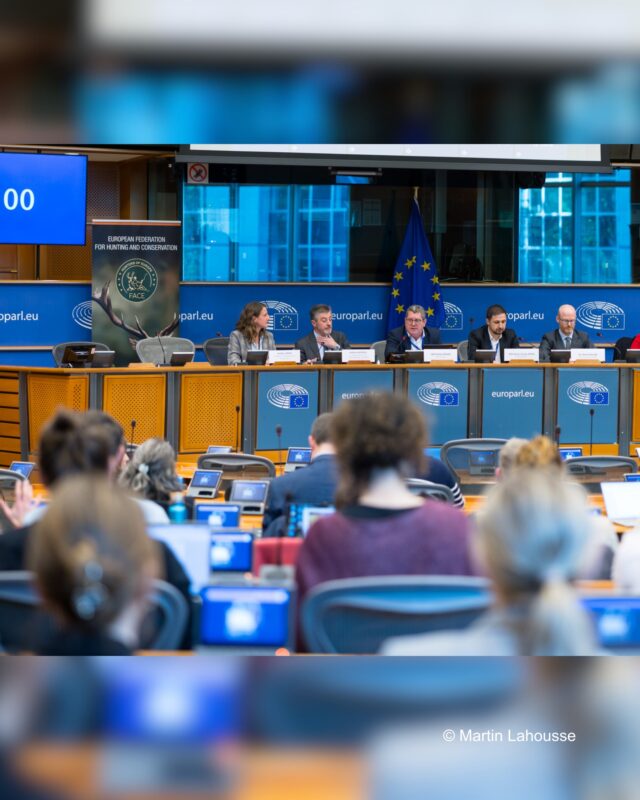 Vorgestern durfte ich im Europäischen Parlament gemeinsam mit FACE eine Veranstaltung zur Überarbeitung der EU-Regeln für Tiertransporte hosten 🇪🇺🐄

Gemeinsam haben wir den aktuellen Stand der Verhandlungen und zentrale Herausforderungen für Tierwohl und Praxis diskutiert. Dabei wurde deutlich, wie wichtig eine ausgewogene Lösung ist, die sowohl den Tierschutz stärkt als auch die Realität vor Ort berücksichtigt.

Danke an alle Speaker und Teilnehmer für den starken Austausch 🤝

📸 Martin Lahousse