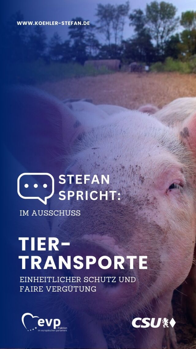 Wie verbessern wir den Schutz der Tiere während des Transports, ohne Landwirte übermäßig zu belasten? 🚛🐖🐑🐄

Diese Woche beraten der Agrar- und Transportausschuss über praxisnahe und tierschutzgerechte Lösungsvorschläge der Berichterstatter. Ich danke ihnen sehr für ihre wichtige Arbeit – denn es braucht eine ausgewogene Lösung: mehr Tierschutz, aber ohne unverhältnismäßige Belastung für Landwirte. 🤝

Deutschland hat bereits höhere Standards als die EU-Verordnung 1/2005 (Schutz von Tieren beim Transport), was auch gesellschaftlich gewünscht ist. Doch wer mehr Tierschutz fordert, muss auch eine faire Vergütung sicherstellen! Zudem müssen wir verhindern, dass Tiere außerhalb der EU unter schlechteren Bedingungen leiden. Tierschutz muss bis zum Ende des Transports gewährleistet sein! Wenn dies nicht sichergestellt werden kann, brauchen wir eine EU-weite Lösung. Eine Möglichkeit sind die WOAH-Standards für einheitliche Regeln. 

Ich werde mich für einen rechtssicheren Rahmen einsetzen, der Tierwohl und wirtschaftliche Tragfähigkeit vereint. ☝️✅

#eu #agrarpolitik #ausschuss #tiertransporte #tierschutz #landwirtschaft #tierwohl #nachhaltigelandwirtschaft #tierschutzohnebürokratie #mehrtierschutz #gescheitepolitik #stefankoehler