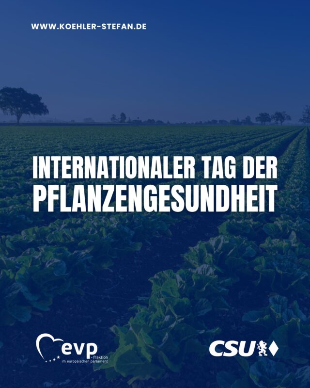 Gesunde Pflanzen sind die Grundlage unserer Ernährung und unserer Versorgungssicherheit 🌱

Der heutige Internationale Tag der Pflanzengesundheit macht deutlich: Pflanzenkrankheiten und Schädlinge gefährden weltweit Ernten, treiben Preise nach oben und erhöhen Abhängigkeiten.
Deshalb brauchen wir wirksamen Pflanzenschutz, Innovation und schnellere, praxistaugliche Zulassungsverfahren in Europa. Genau hier setzt der Food-and-Feed-Omnibus an 🇪🇺🚜