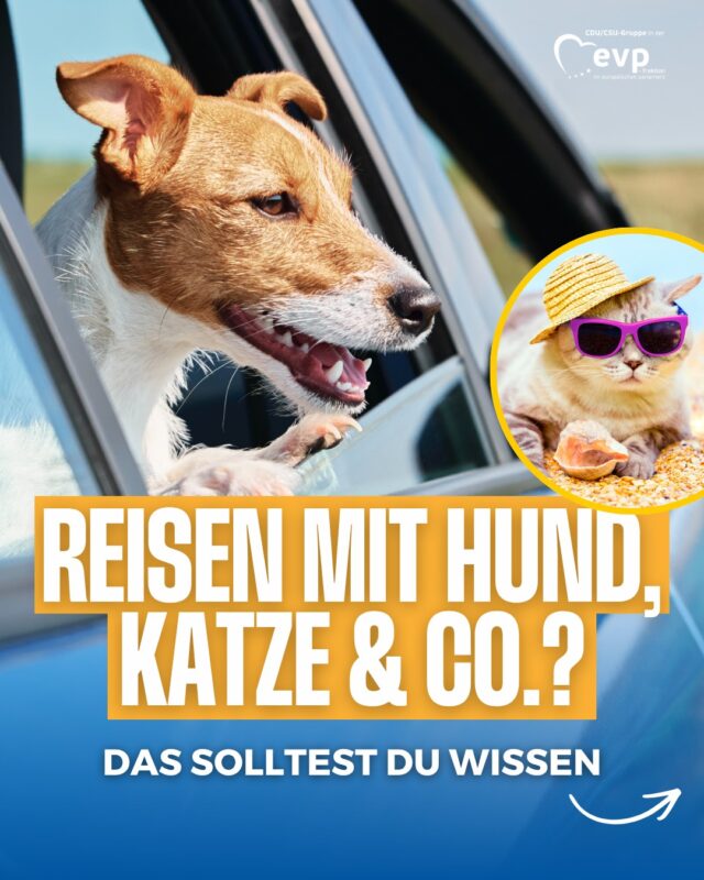Dank der EU ist das Reisen mit Haustieren so einfach wie nie. 🐶🐱🇪🇺

Gemeinsame EU-Regeln ermöglichen unkompliziertes Reisen und schützen durch die Impfpflicht auch die Gesundheit der Tiere vor Ort.

Wo verbringt ihr euren Sommer? ☀️